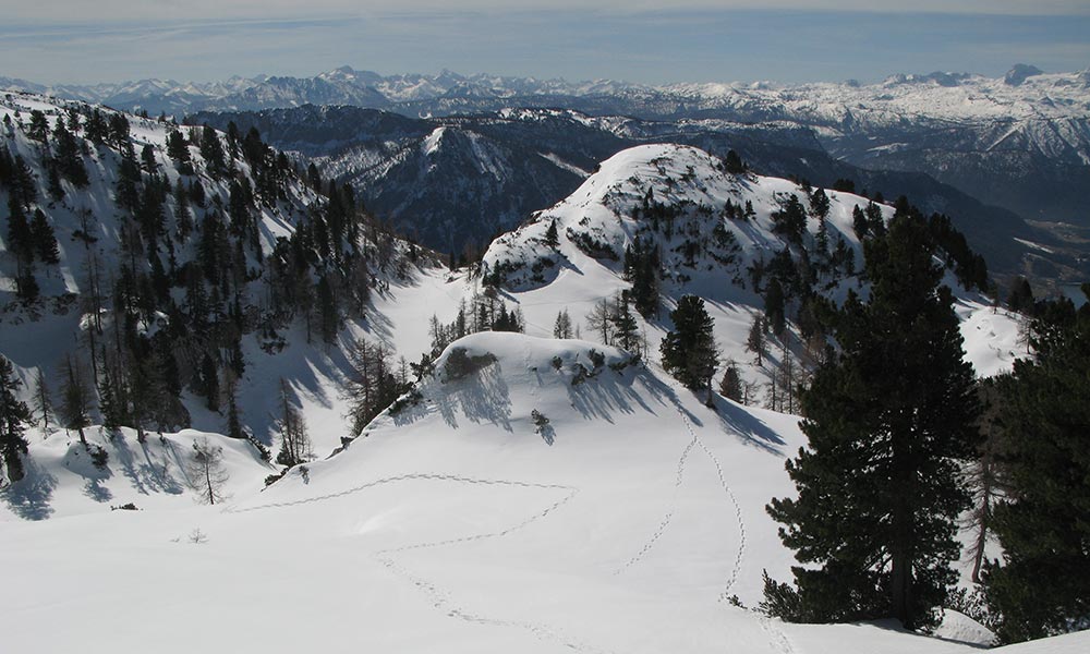 dreibruederkogel